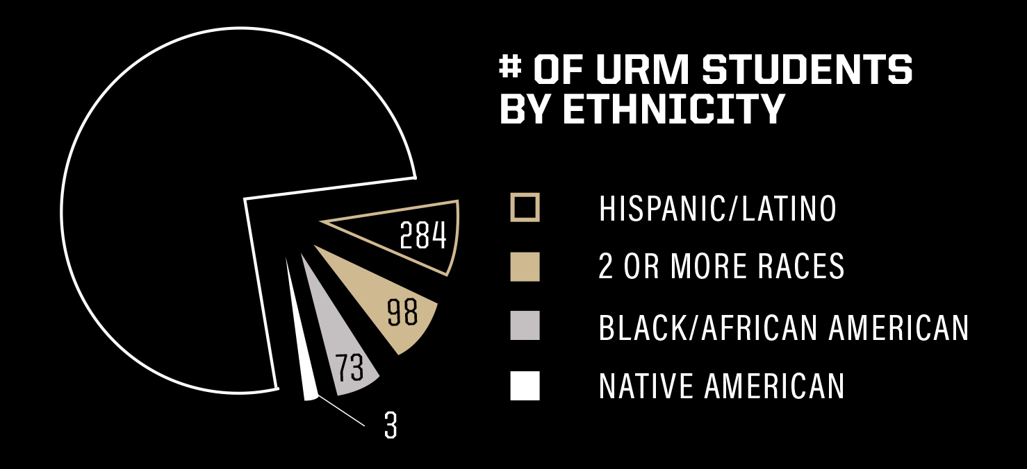 Pie chart of the number of Underrepresented Minority Students by ethnicity - 284 Hispanic/Latino - 98 two or more races - 73 Black/African American - 3 Native American